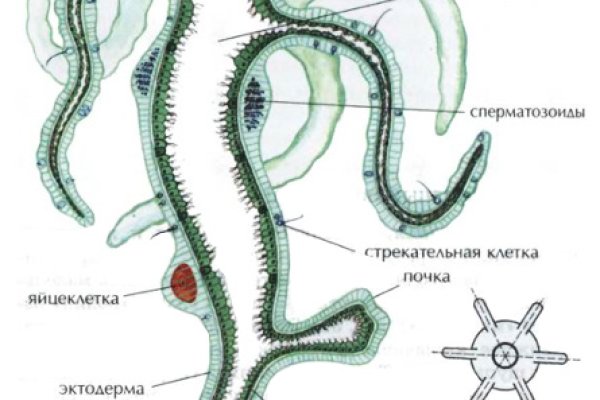Кракен площадка kr2web in