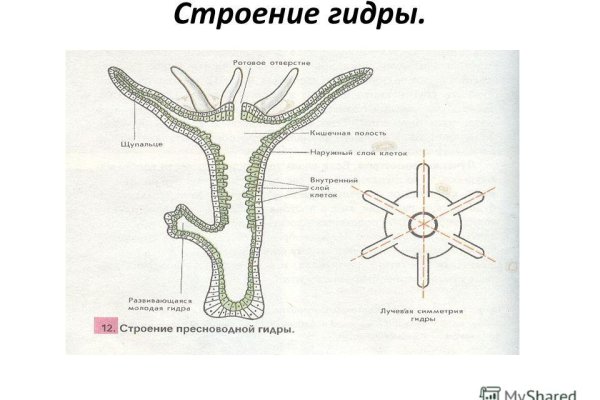Зеркало на кракен