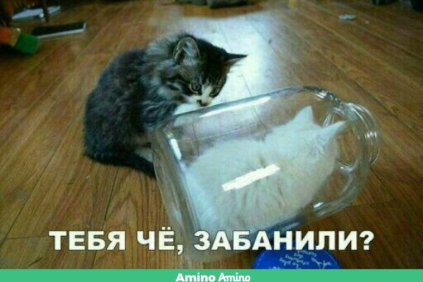 Сайт кракена в торе