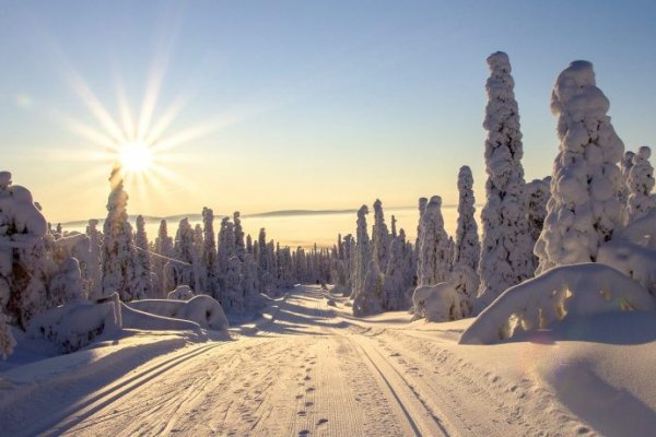 Кракен наркомаркетплейс