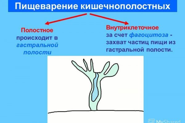 Кракен невозможно зарегистрировать пользователя