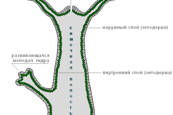 Kraken домен
