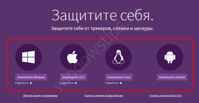 Что продают на кракене