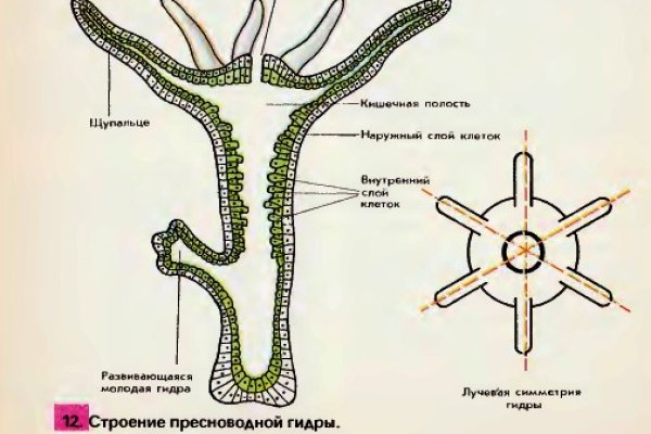 Актуальные ссылки на кракен тор