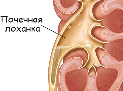 Сайт кракен зайти